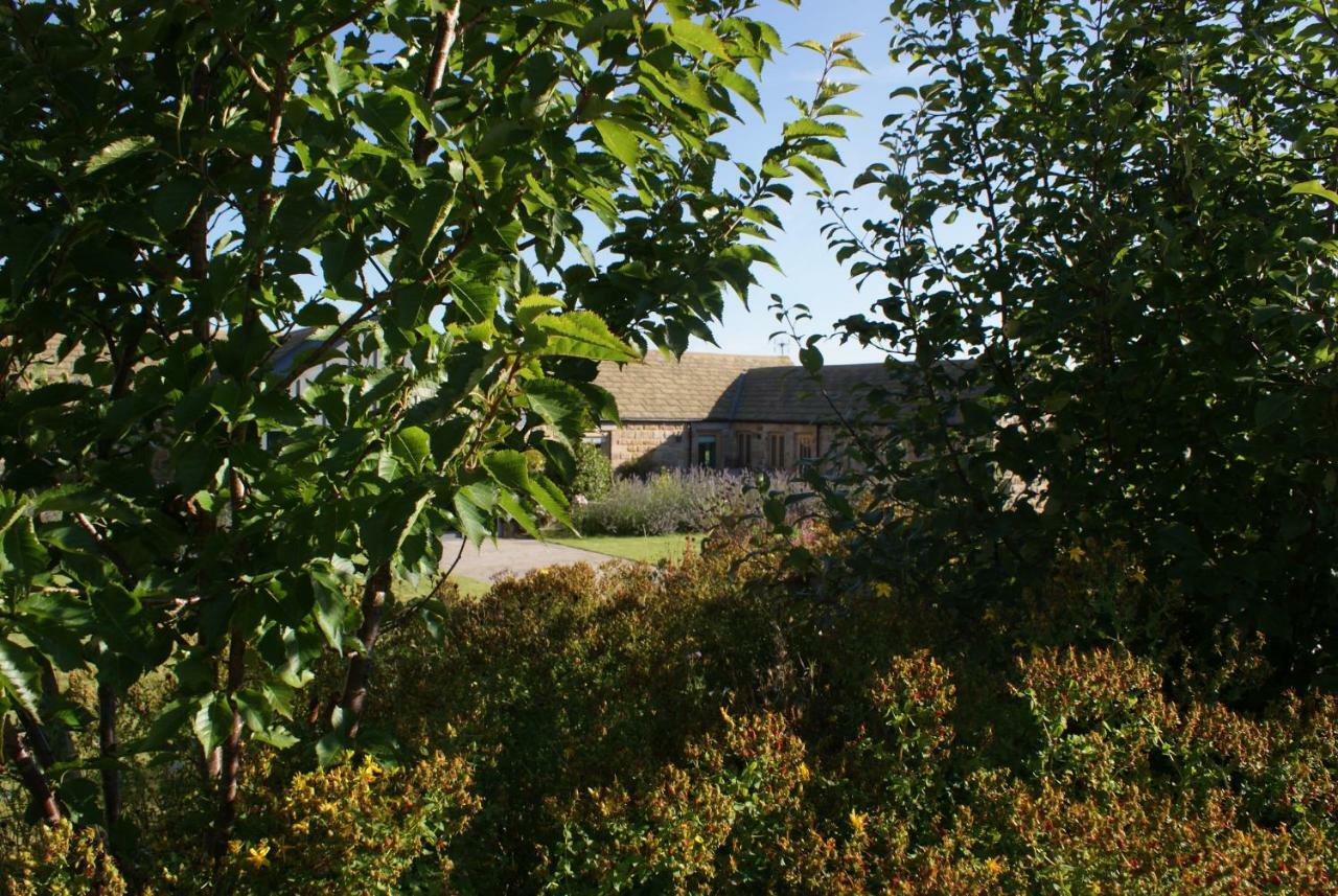 Harrogate Barns Villa Buitenkant foto